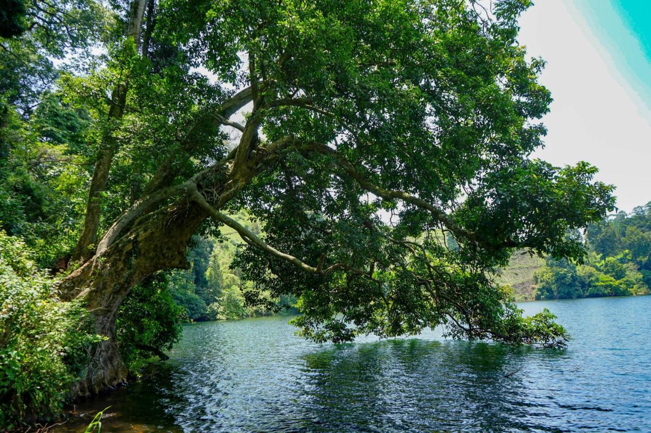 Lake Nyamirima Cottages Fort Portal المظهر الخارجي الصورة